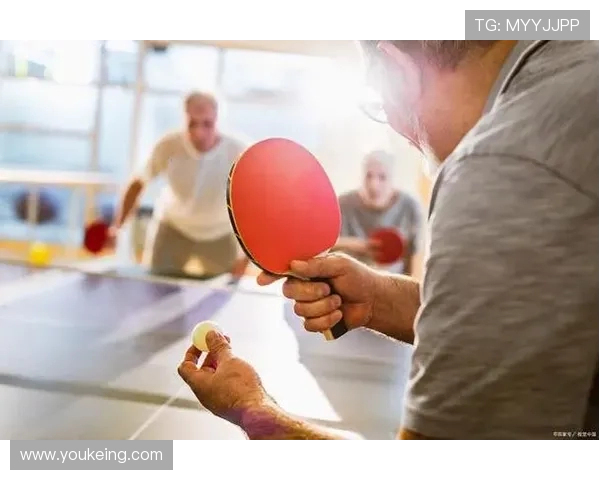 从零基础到高手之路乒乓球速度技巧全面解析与实战应用